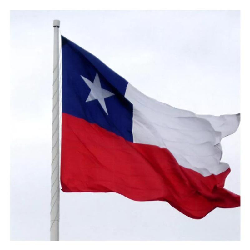 Bandera Chilena 