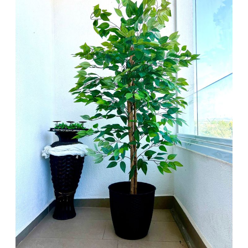 Planta Artificial Ficus 160 Cm. Premium